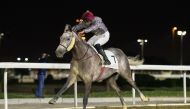 Qatari jockey Faleh Bughanaim guides Al Shaqab Racing’s Um Taj to victory in the feature race of the 25th Meeting at Al Rayyan Racecourse, yesterday.


