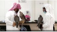 A screen grab from a Reuters video shows falcon owners registering their birds for an ID at Souq Waqif Falcon Hospital. 