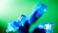 Internet LAN cables are pictured in this photo illustration taken in Sydney June 23, 2011. REUTERS/Tim Wimborne


