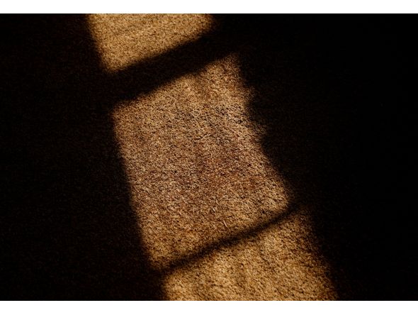 Grain. File photo for representational purposes only.