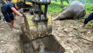 Rescue workers use an excavator as they rescue an elephant calf after it fell into a manhole in Khao Yai National Park, Nakhon Nayok province, Thailand, July 13, 2022. (REUTERS/Taanruuamchon)


