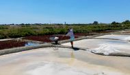 French salt maker Francois Durand harvests sea salt from a salt pan in Le Pouliguen, west France, August 5, 2022. REUTERS/Yann Tessier