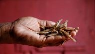 In her outstretched palms, 49-year-old Nilanthi Gunasekera holds her family's last remaining handful of dried fish - a reminder of Sri Lanka's worst economic crisis in decades. (REUTERS/Kim Kyung-Hoon)