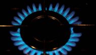 A gas burner is pictured on a cooker in a private home in Bordeaux, soutwestern France, December 13, 2012. REUTERS/Regis Duvignau/File Photo

