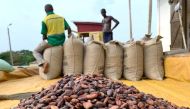 Cocoa beans are pictured next to a warehouse at the village of Atroni, near Sunyani, Ghana, on April 11, 2019. File Photo / Reuters
