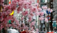 Pedestrians wearing protective face masks, amid the coronavirus disease (COVID-19) pandemic, are seen behind artificial cherry blossom decorations at a shopping district on the first day after the lifting of COVID-19 restrictions imposed on Tokyo and 17 other prefectures, in Tokyo, Japan, March 22, 2022. REUTERS/Kim Kyung-Hoon/File Photo