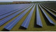 A field of solar panels is seen near Royston, Britain, on April 26, 2021. File Photo / Reuters
