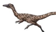 An artist's rendering of the dinosaur Podokesaurus holyokensis, which lived millions of years ago in what is now Massachusetts. The dinosaur has been named the official dinosaur of Massachusetts under legislation signed into law in Boston on October 19, 2022. (Credits: FunkMonk Michael B.H. via AP)