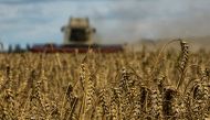 A combine harvests wheat in a field near the village of Zghurivka, amid Russia's attack on Ukraine, in Kiev region, Ukraine August 9, 2022.  File Photo / Reuters