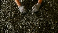  A worker displays nickel ore in a ferronickel smelter owned by state miner Aneka Tambang Tbk at Pomala district, Indonesia, on March 30, 2011. File Photo / Reuters