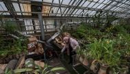 Liudmyla Buiun, Head of Tropical and Subtropical Plants Department, checks a wood stove in a tropical greenhouse, suffering from low temperatures, in a botanical garden after critical energy infrastructure was hit by Russian military attacks in Ukraine, as Russia's invasion of Ukraine continues, in Kyiv, Ukraine December 22, 2022. REUTERS/Gleb Garanich