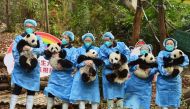 Panda keepers hold cubs while posing for photos ahead of the new year at the Chengdu Research Base of Giant Panda Breeding in Chengdu, China's southwestern Sichuan province on December 29, 2022. (AFP)
