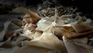 Seized shark fins are placed on the floor after authorities confiscated a shipment of 3,493 shark fins which were to be illegally trafficked to Hong Kong from Bogota's airport, in Bogota, Colombia, September 23, 2021. (Colombian Environment Ministry/Handout via REUTERS)
