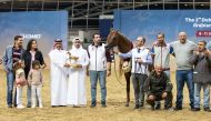 The 2nd Doha International Arabian Horse Show, organised by Qatar Racing & Equestrian Club. PIC: Juhaim/QREC

