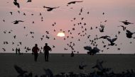 People loiter as pigeons fly during sunrise at the Marina beach in Chennai on April 1, 2023. Photo by R.Satish Babu / AFP