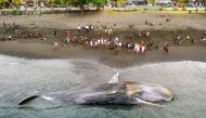 This aerial picture shows villagers looking at a dead sperm whale (Physeter Macrocephalus) that stranded at Yeh Malet beach, in Klungkung, on April 5, 2023. Photo by DICKY BISINGLASI / AFP