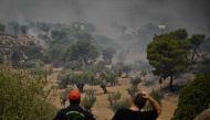 A firefighter (L) and a local resident react as they look at a wildfire in a forest near Nea Peramos, west of Athens on July 19, 2023. (Photo by Louisa Gouliamaki / AFP)