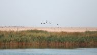 File photo of the Al Karaana Lagoon located southwest of Doha. Photo: Salim Matramkot/The Peninsula