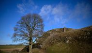 A man views a section of Hadrian's Wall near the wall's milecastle 39 known as Sycamore Gap near Hexham, northern England, on January 19, 2022. Photo by OLI SCARFF / AFP