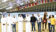 Hader Al Shaqab, owned by Ebrahim Yusuf Al Romaihi, emerged as the gold winner of the Senior Stallions Championship.
