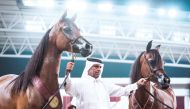 A contestant showcases horses at Al Shaqab's Outdoor Arena yesterday.
