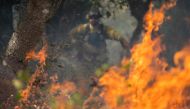 (Files) Alberto Bonilla, an environmental scientist with California State Parks, monitors a prescribed burn at Wilder Ranch State Park near Santa Cruz, California, on October 13, 2023. (Photo by Nic Coury / AFP)

