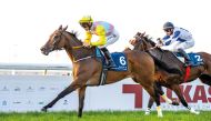 Jockey Tomas Lukasek and Al Rabban Racing’s Harb on their way to win the Al Uqda Local Thoroughbred Trophy at Al Uqda Racecourse, yesterday. PIC: Juhaim/QREC