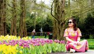 Photographs shows tulips at the Keukenhof gardens in Lisse, western Netherlands, yesterday, after the world’s biggest tulip garden opened to the public for its 75th edition. 