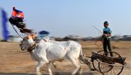 A participant races his ox-cart in Kampong Speu province on April 7, 2024, as part of festivities for this year's Khmer New Year which falls on April 13-16. (Photo by TANG CHHIN SOTHY / AFP)