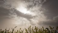 A picture taken on April 8, 2024 shows a rapeseed field under thick sand dust blown in from the Sahara, giving the sky a yellowish appearance near Daillens, western Swizterland. (Photo by Fabrice COFFRINI / AFP)
