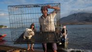 A volunteer carries a cat in a cage as they bring back animals from the abandond area at the foot of Mount Ruang volcano (background) on Tagulandang Island in Sitaro, North Sulawesi, on May 4, 2024. (Photo by Ronny Adolof Buol / AFP)