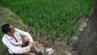 A farmer sits on a dry rice field affected by drought at Hudianxiang village in Xinyang, in central China’s Henan province on June 18, 2024. Photo by JADE GAO / AFP.