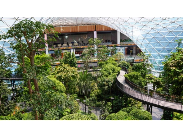 File photo of Hamad International Airport used for representation 