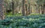 File photo
