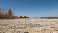 The lakeshore is seen on Reichenau Island in Lake Constance (Bodensee), southern Germany, where the water level of the lake is at its lowest level in spring for decades, on April 12, 2025. (Photo by Silas Stein / AFP)
