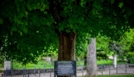 A photo shows a commemorative plaque in tribute to AFP cameraman Arman Soldin killed in Ukraine, on the esplanade of the University Centre in Vichy, central France, on May 7, 2025. (Photo by Olivier Chassignole / AFP)