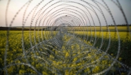 This photograph shows a barbed wire defence line running across a rapeseed field at an undisclosed location in eastern Ukraine on June 6, 2025. (Photo by Florent VERGNES / AFP)
