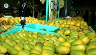 File photo of mangoes from the previous edition at Souq Waqif.