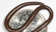 :This handout photo obtained on July 25, 2025, courtesy of Re:wild shows a Barbados threadsnake and a quarter in 2006. A snake so small it could be mistaken for a worm has been spotted in Barbados, nearly two decades after it was thought to have been 