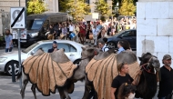 A camel-led caravan of farmers, scientists and environmentalists crosses through central Budapest, Hungary to protest against the government's water management policy on August 7, 2025.(Photo by Attila Kisbenedek / AFP)