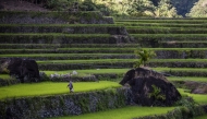 Rice terraces in Banaue, Ifugao province, the Philippines. (Photo by Lisa Marie David/Bloomberg)