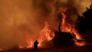 A firefighter battles flames from the Canyon Fire on August 7, 2025 in Castaic, California. Photo by Eric Thayer / GETTY IMAGES NORTH AMERICA / Getty Images via AFP