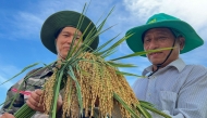 Vietnamese specialists check the quality of grains during the mechanized harvesting at a Vietnamese rice field, in Los Palacios, Pinar del Rio province, Cuba, on May 29, 2025. (Photo by Adalberto Roque / AFP)