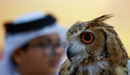 Visitors look at falcons at the Katara International Hunting and Falcons Exhibition 2025 (S'hail) at Katara Cultural Village in Doha on September 11, 2025. (Photo by Karim JAAFAR / AFP)
