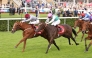 Aylin, with David Egan in the saddle, competes in the race. PIC: Steve Davies