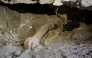 Graphic content: The body of child lies buried under the rubble of a building hit by an Israeli strike in the Nuseirat refugee camp in the central Gaza Strip, on September 25, 2025, as Israel presses its air and ground offensive to capture the nearby Gaza City. (Photo by Eyad BABA / AFP)
