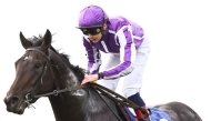 Ronan Whelan rides Hawk Mountain during the race. PIC: The Curragh / Inpho 