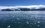 File: Blocks of ice drift on the water off the coast of Collins glacier on King George Island, Antarctica, on February 01, 2018. (Photo by Mathilde Bellenger / AFP)