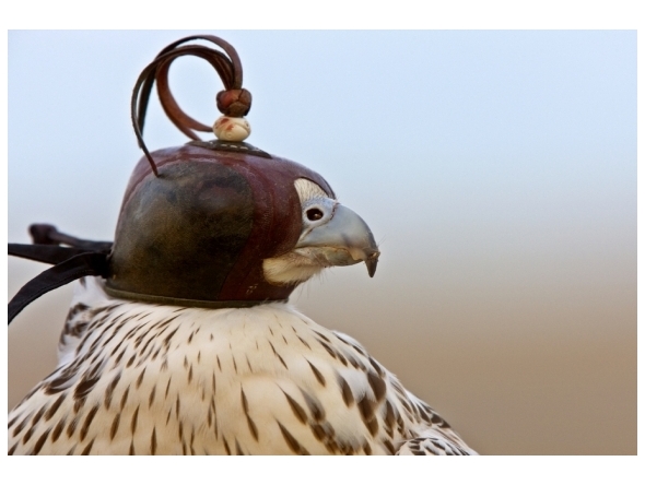 Image used for representation only.