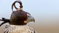 Image used for representation only.